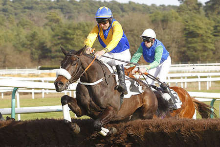 Actualités Hippiques